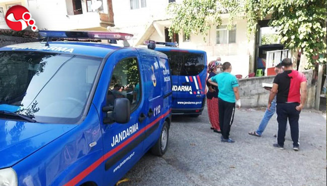 Fındıkları çalıp, ortadan kayboldular...