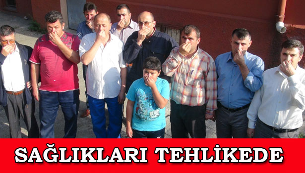 KOKUDAN DURAMIYORLAR