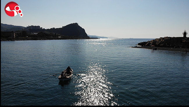 Palamut küstü, fiyatlar yükseldi