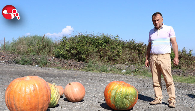 Görenler şaşkına dönüyor