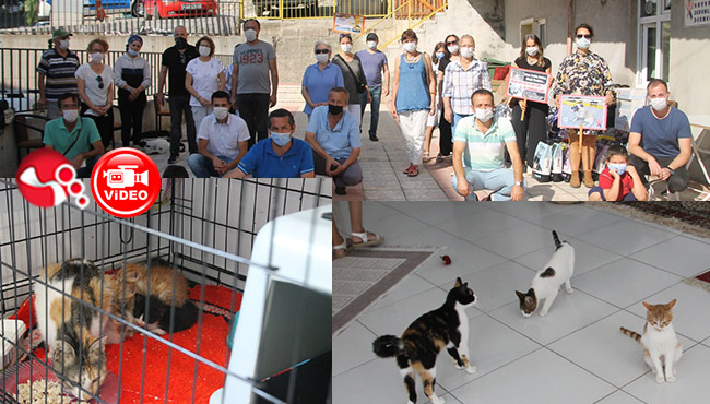 “Hayvanlara kötü muamele SUÇ teşkil etmektedir...”