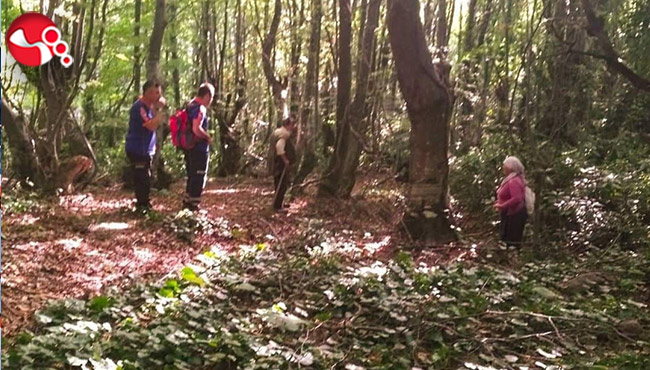 Kestane toplamaya gittiği dağda kayboldu