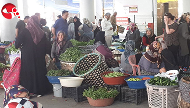 Bozkurt, 15 Ekim Dünya Kadın Çiftçiler Günü'nü kutladı