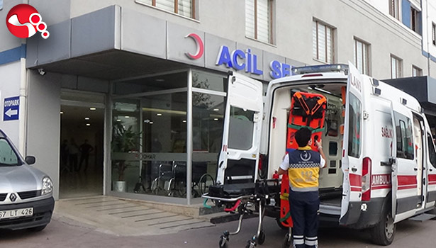 Kadın ağaçtan düştü...