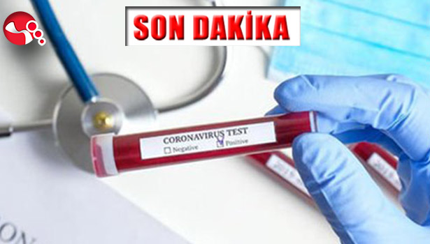 Kdz.Ereğli’de 30, Alaplı’da ise...