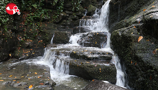 "Zonguldak'a gelmemek insanlarda bir eksiklik olacak"