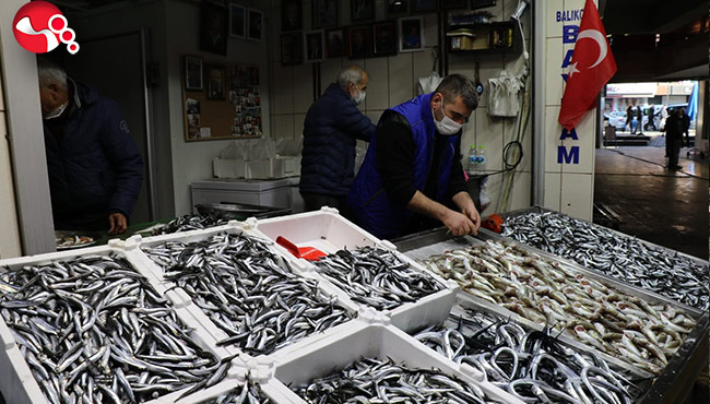 Balıkçılar palamuttan sonra hamsiden umutlu