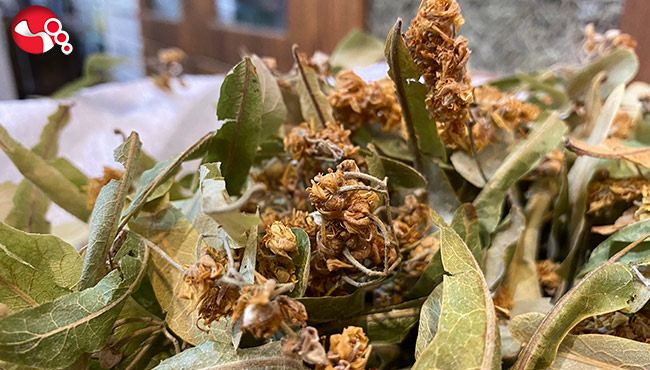 Fiyatı ile el yakıyor…