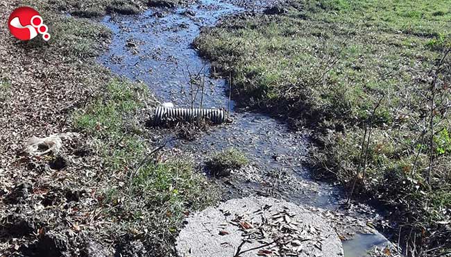 Mahalleliden TEPKİ!
