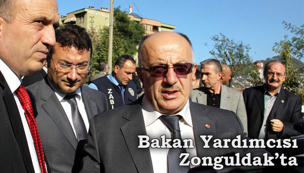 BAŞ&8217;IN, ZONGULDAK İNCELEMELERİ