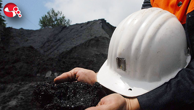 Teslimatın yüzde 54.1’i Termik Santrallere yapıldı