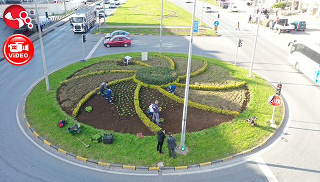Parklarda 400 bin çiçek açtı...