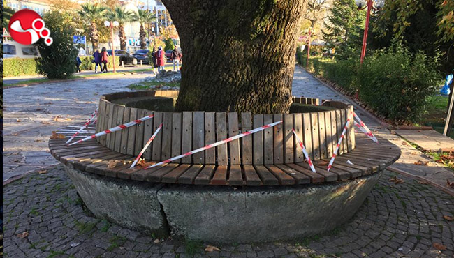 Yasaklar her geçen gün artıyor...