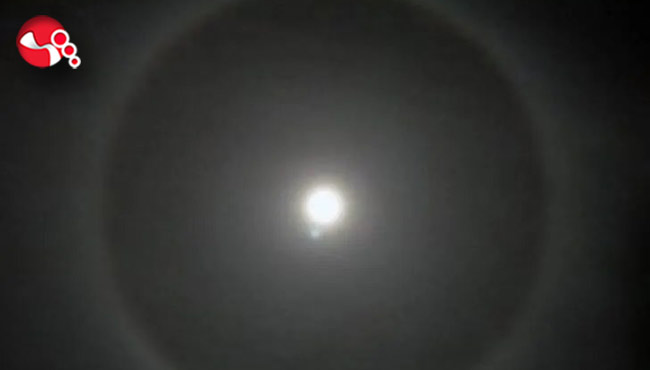 Görenler şaşkına döndü...