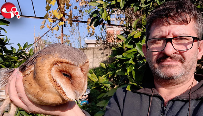 Yaralı Baykuşa yardım eli