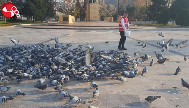 TÜRK KIZILAYI Sokak Hayvanlarını UNUTMADI..