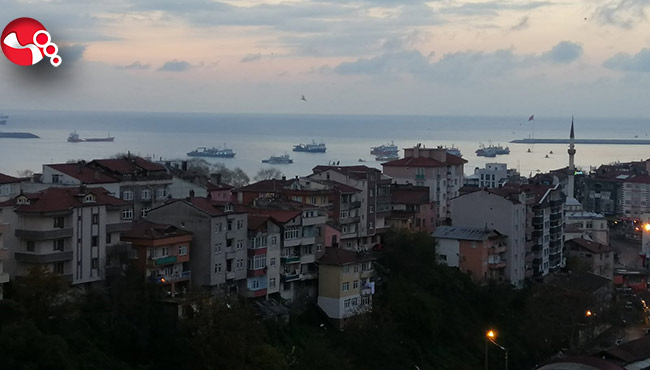 Limana sığındılar!..