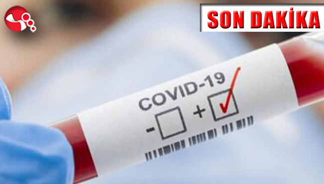 Fadıl Demirel hayata tutunamadı...