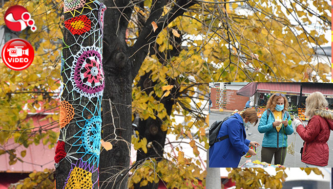 Pazaryerindeki ağaçlar rengarenk çiçek açtı...