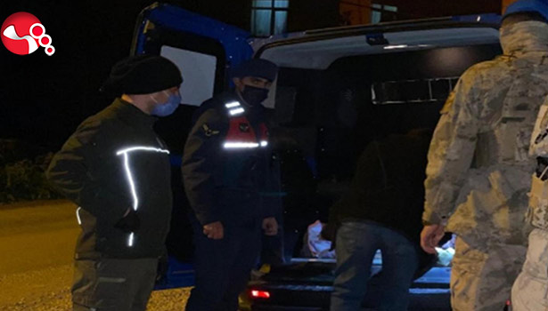 Yaralı Karaca Jandarma Ekiplerince kurtarıldı