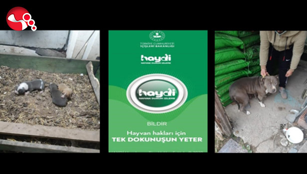 Yasak IRK’a 38 bin lira ceza!..