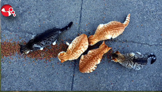 Onları unutmadılar...