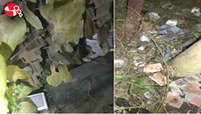 Jandarmadan kumar baskını