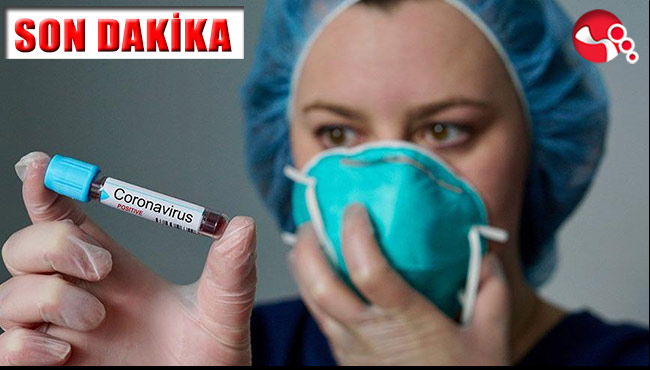 Acı haberler gelmeye devam ediyor! Sayı 174 oldu...