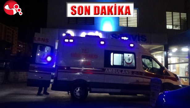 Ağaçtan düştü,hastanelik oldu!..