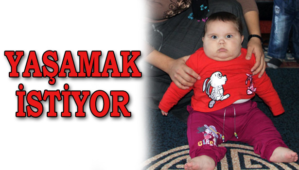 MELEK'İN AİLESİ YARDIM BEKLİYOR