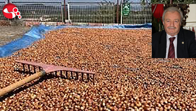 ”Yeni yılda fındık fiyatı artacak”