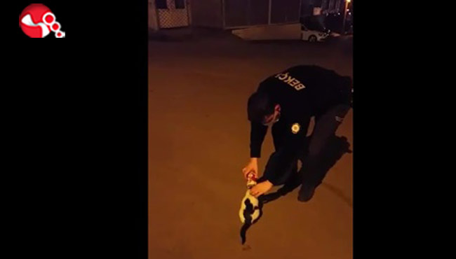 Kafası sıkışan kediyi Bekçiler kurtardı...