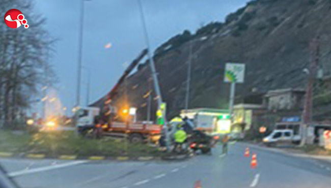 Aydınlatma direğine çarparak durabildi!..