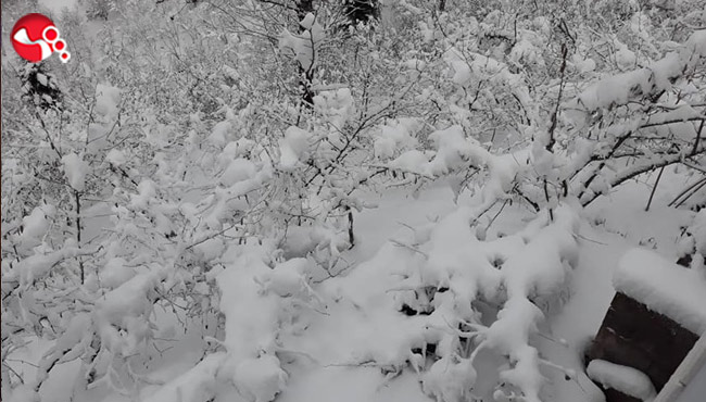 Ereğli kara büründü!!!