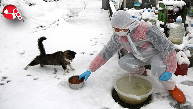 Sokak Hayvanlarını unutmadılar…