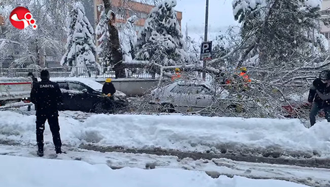 Karın ağırlığına dayanamayınca…