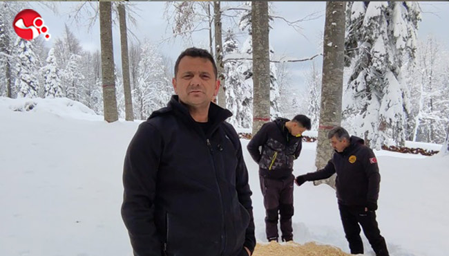 Off-Road Ekipleri, yaban hayvanları için tırmandı