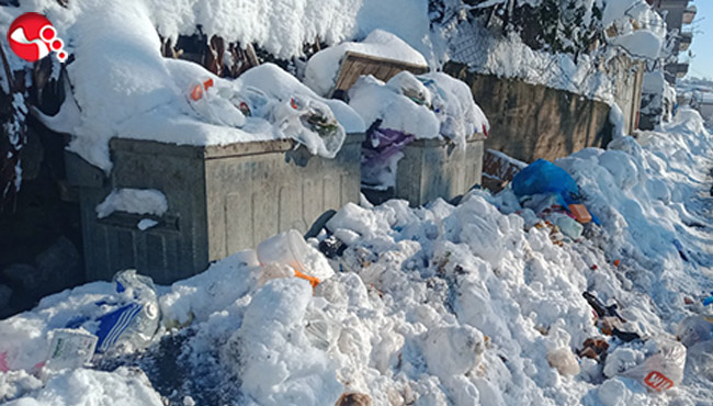 Aç kalan sokak hayvanları çöplüklere koştu