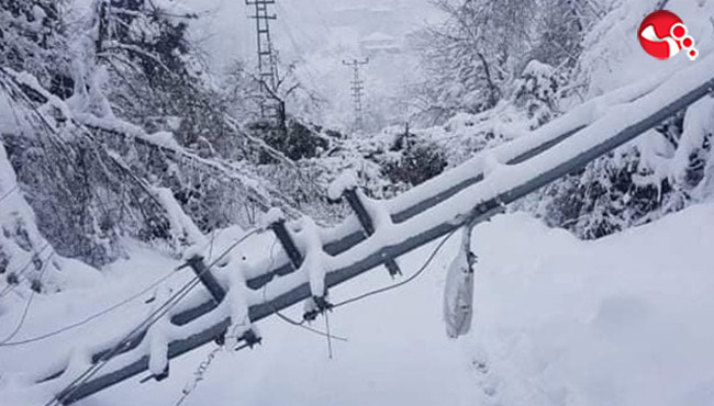 Direk devrildi!Muhtarlar Derneğinin sundurması çöktü