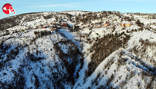 Ormanlarda kış güzelliği