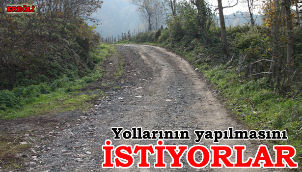 KÖY HALKI YOLLARININ YAPILMASINI İSTİYOR