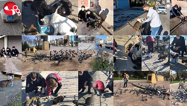 Sokak hayvanları için mama dağıttılar…