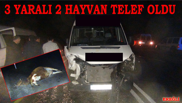 KAZADA TELEF OLAN HAYVANLARDAN BİRİ DOĞUM YAPTI