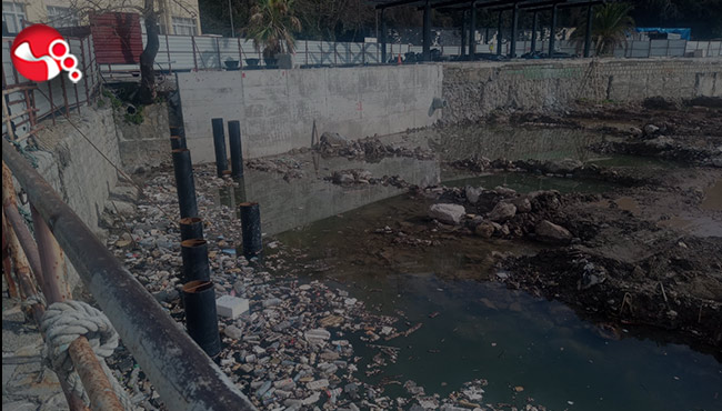 Görenleri şaşırtıyor...