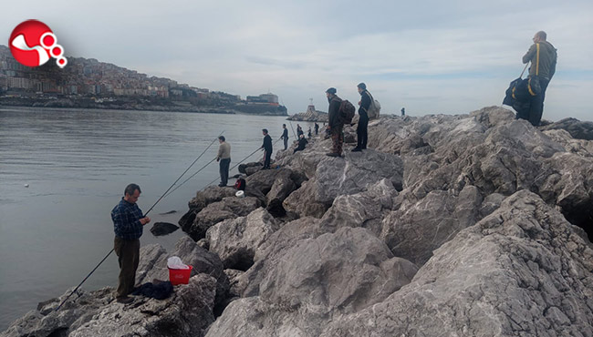 Amatör balıkçılar sarı kanat avladı