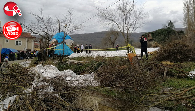 Devrilen ağacın altında kaldı… Hayatını kaybetti…