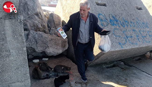 Her gün 10 kedinin yiyecek ihtiyacını karşılıyor