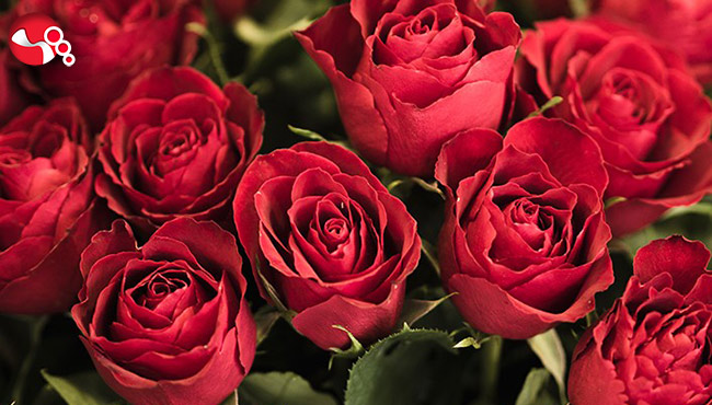 İçişleri Bakanlığından "14 Şubat Sevgililer Günü" için ek genelge