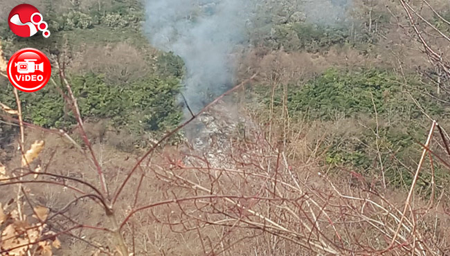 Orman yangını ihbarı ekipleri harekete geçirdi