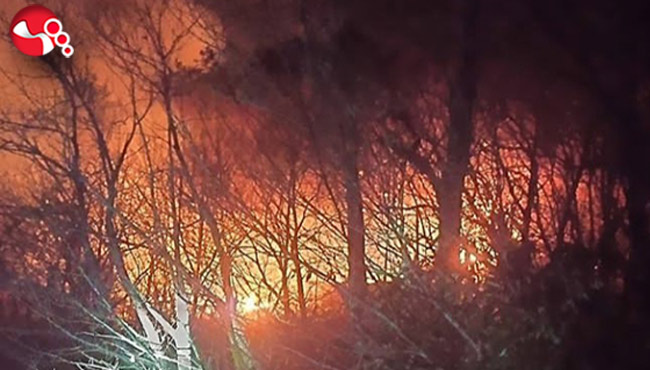 Cemaller'de orman yangını!!!